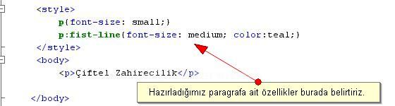 Outlines, Padding, Positioning, Table, Text, Pseudo-classes, Pseudo-elements